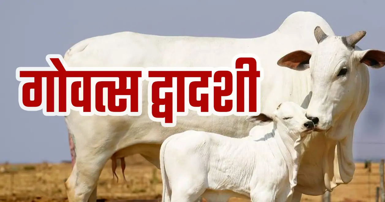 गोवत्स द्वादशी: गौमाता और बछड़े की सेवा का पवित्र व्रत